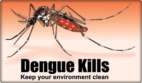 When a mousquito becomes "Killing Machine"